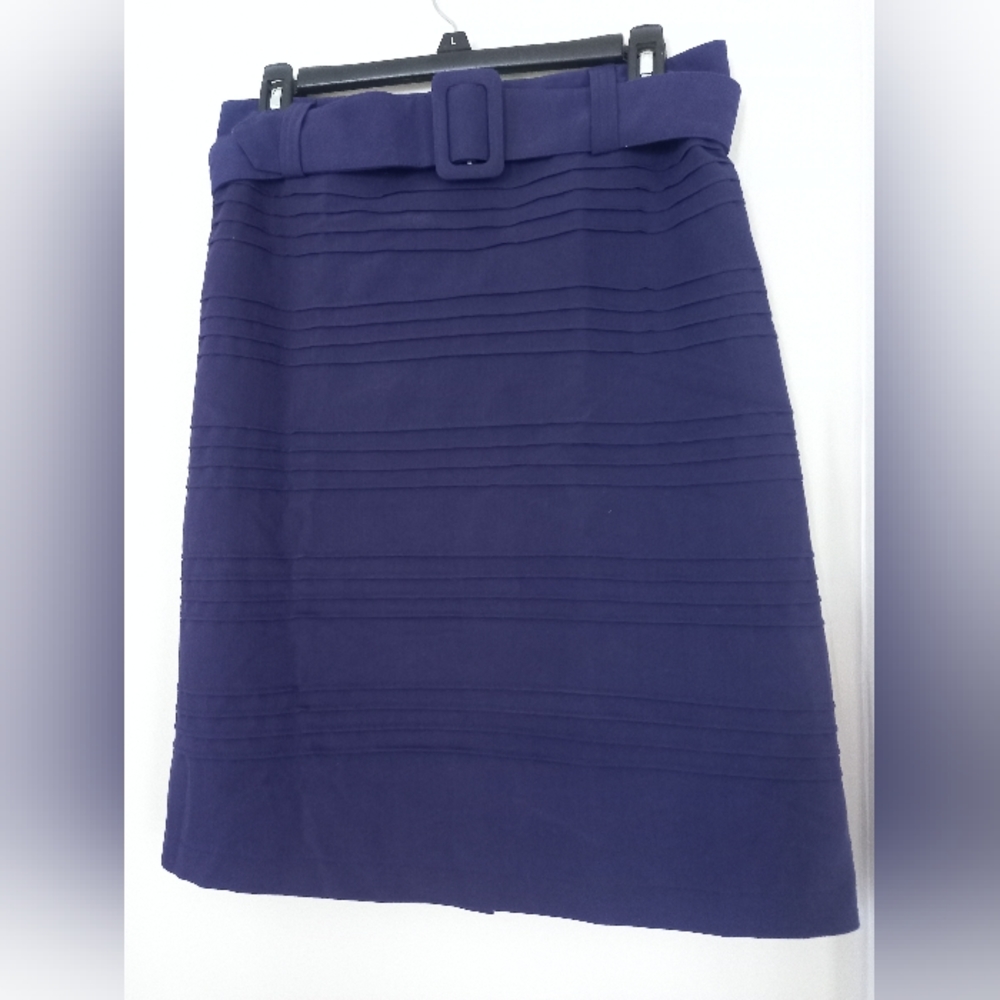 DressBarn Purple Skirt